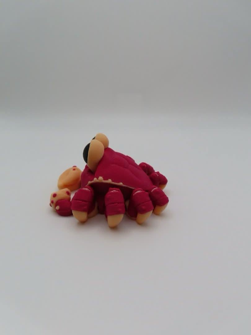 Sunny Shore Crab