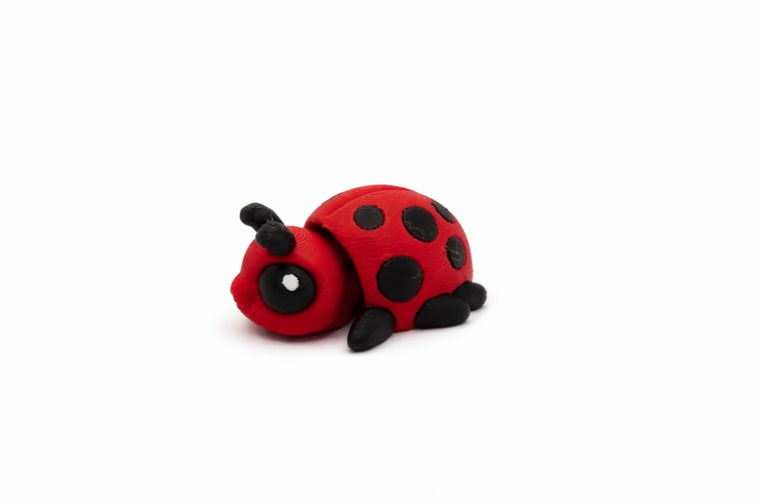 Beetle & Ladybug