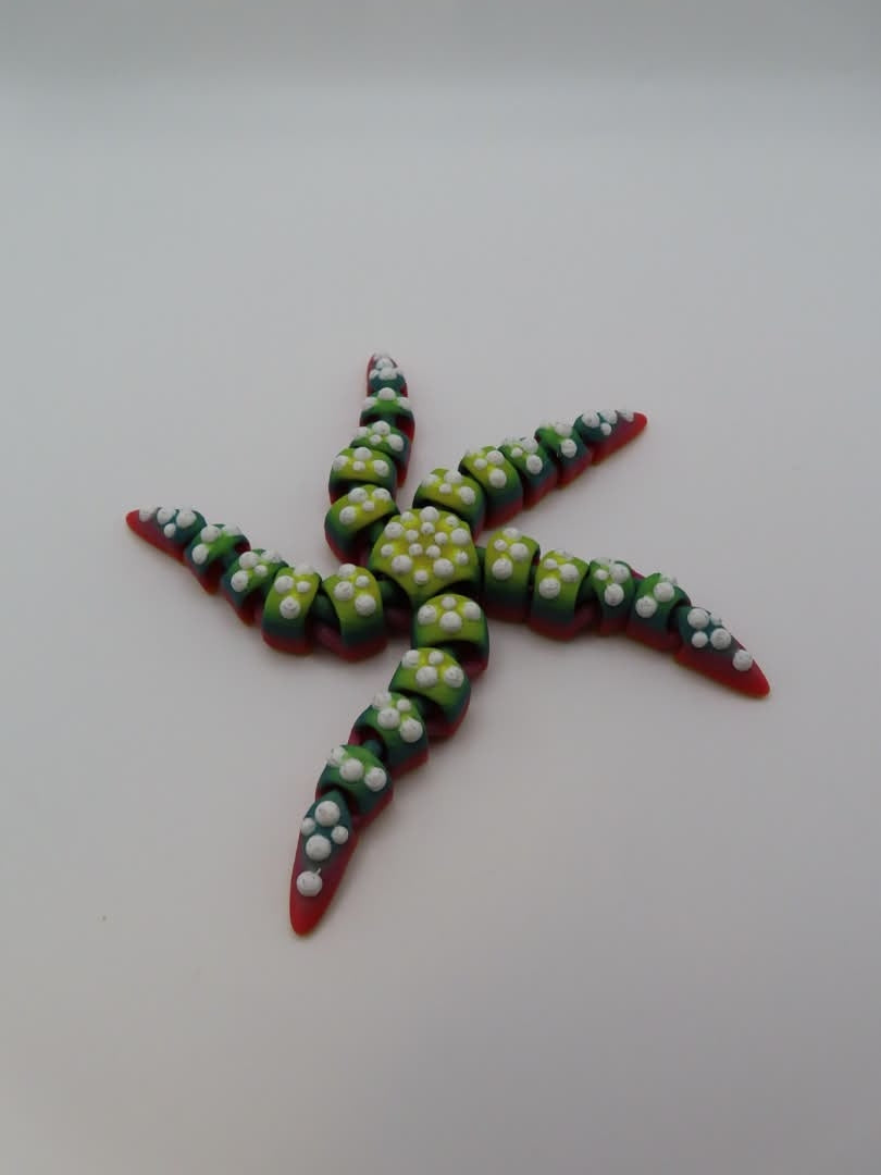 Rainbow Reef Starfish