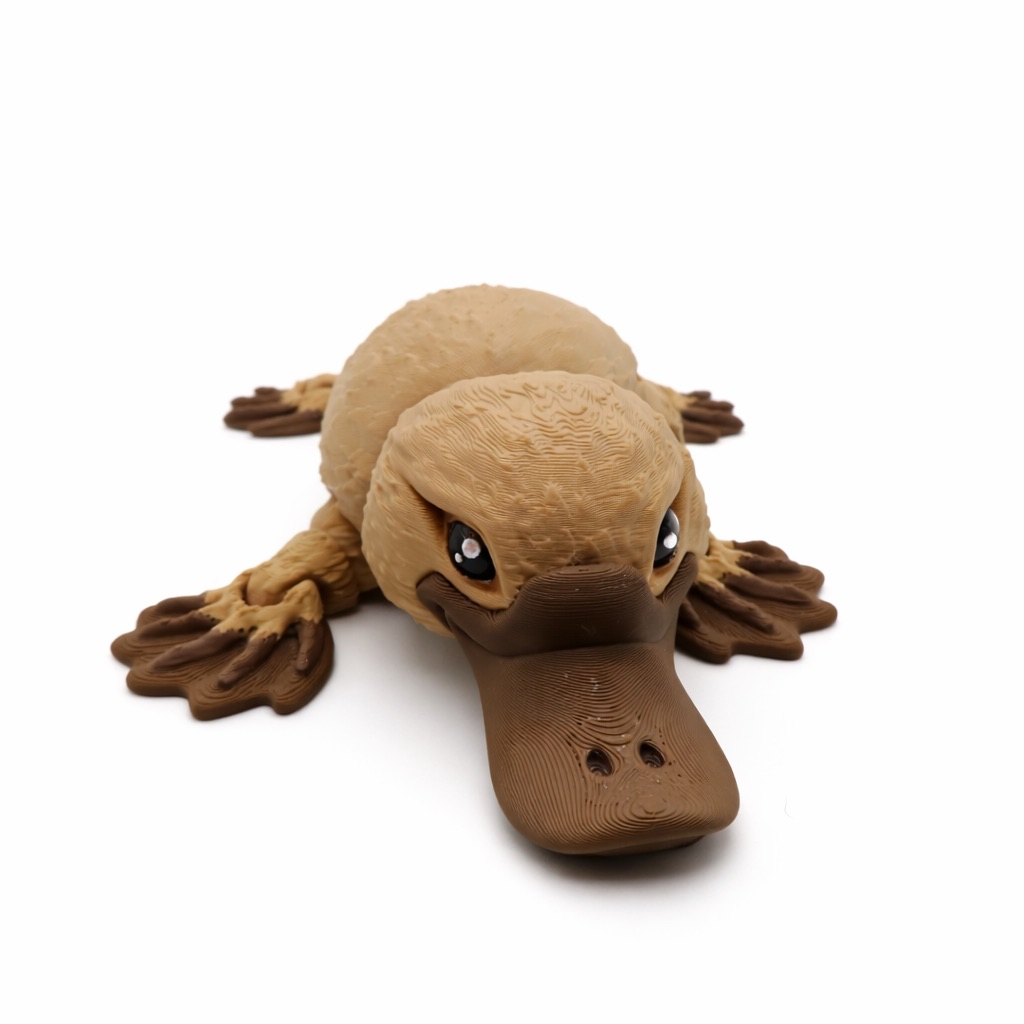 Puddle Buddy Platypus