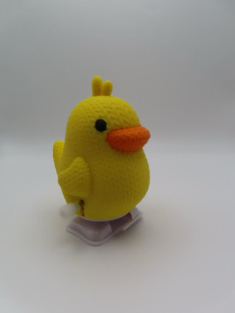 Wacky Walker Duck