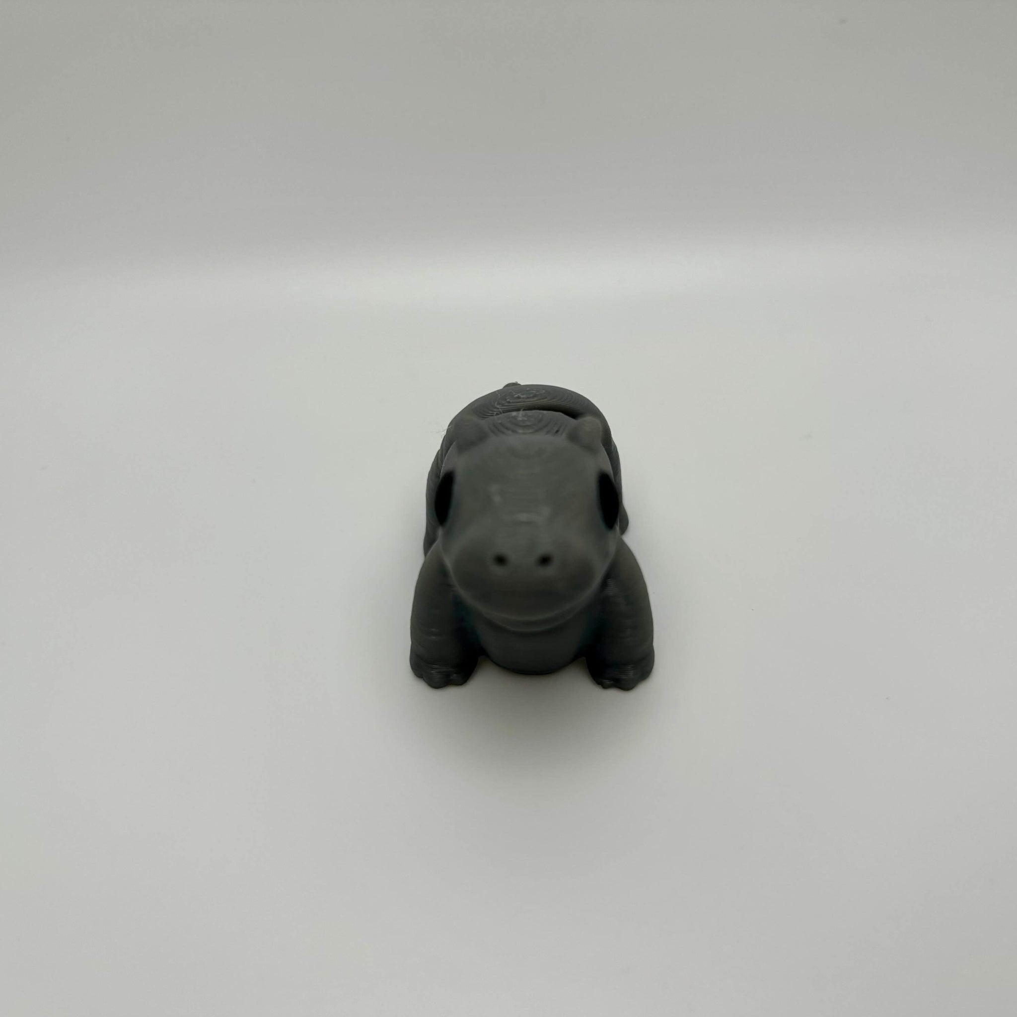 Hippo
